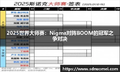 2025世界大师赛：Nigma对阵BOOM的冠军之争对决