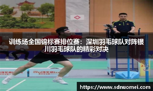 训练场全国锦标赛排位赛：深圳羽毛球队对阵银川羽毛球队的精彩对决